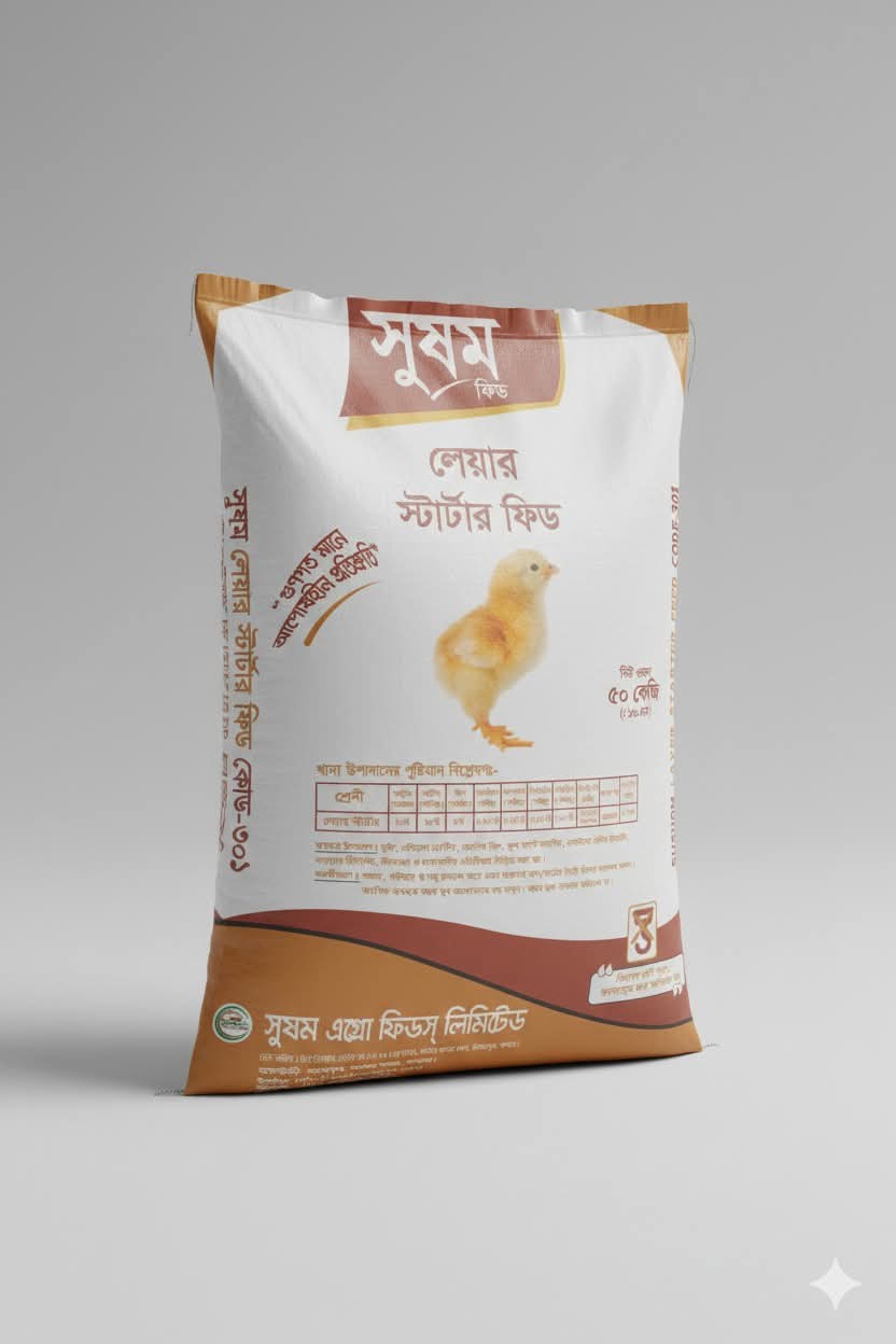 লেয়ার